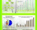 Międzynarodowy Dzień Lasów - 21 marca 2017 r. (infografika) Foto