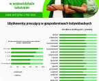 Pracujący i nakłady pracy w gospodarstwach rolnych w woj. lubelskim. Dane wstępne z PSR 2020 (infografika) Foto