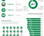 Dzień Wiecznie Zielonych Roślin - 19 grudnia 2022 r. (infografika) Foto