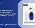 Zmiany strukturalne grup podmiotów gospodarki narodowej w rejestrze REGON w województwie lubelskim, 2022 r. Foto