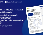 Wyniki finansowe i nakłady na środki trwałe w przedsiębiorstwach niefinansowych w województwie lubelskim w 2025 r. Foto