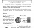 Budżety jednostek samorządu terytorialnego w województwie lubelskim w 2015 roku. Foto