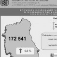 Podmioty gospodarki narodowej w województwie lubelskim. Stan na 30 VI 2015 r. Foto
