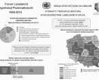Podmioty trzeciego sektora w województwie lubelskim w 2012 r. Foto
