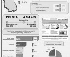 Podmioty gospodarki narodowej w województwie lubelskim stan na koniec 2015 r. Foto