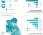 Dzień Rodzicielstwa Zastępczego - 30 maja 2024 r. (infografika) Foto