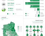 Światowy Dzień Drzewa - 10 października 2024 r. (infografika) Foto