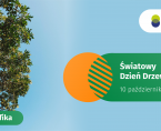 Światowy Dzień Drzewa - 10 października 2025 r. (infografika) Foto