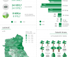 Światowy Dzień Drzewa - 10 października 2025 r. (infografika) Foto
