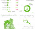 Dzień Policjanta - 24 lipca 2024 r. (infografika) Foto