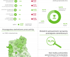 Dzień Policjanta - 24 lipca 2025 r. (infografika) Foto