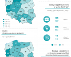 Międzynarodowy Dzień Osób z Niepełnosprawnościami - 3 grudnia 2024 r. (infografika) Foto