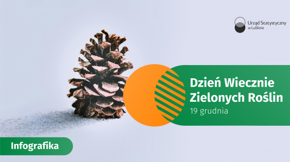 Dzień Wiecznie Zielonych Roślin - 19 grudnia 2025 r. (infografika)