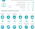 Światowy Dzień Chorego - 11 lutego 2025 r. (infografika) Foto