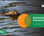 Światowy Dzień Ochrony Środowiska - 5 czerwca 2025 r. (infografika) Foto