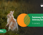 Światowy Dzień Ochrony Środowiska - 5 czerwca 2026 r. (infografika) Foto