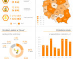 Wielki Dzień Pszczół - 8 sierpnia 2025 r. (infografika) Foto