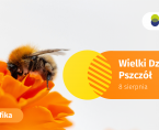 Wielki Dzień Pszczół - 8 sierpnia 2025 r. (infografika) Foto