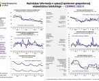 Ważniejsze informacje o sytuacji społeczno-gospodarczej województwa lubelskiego czerwiec 2025 r. Foto