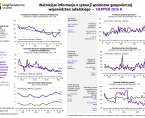 Ważniejsze informacje o sytuacji społeczno-gospodarczej województwa lubelskiego sierpień 2026 r. Foto