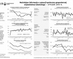 Ważniejsze informacje o sytuacji społeczno-gospodarczej województwa lubelskiego styczeń 2019 r. Foto