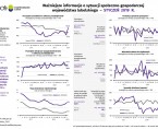 Ważniejsze informacje o sytuacji społeczno-gospodarczej województwa lubelskiego styczeń 2019 r. Foto