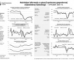 Ważniejsze informacje o sytuacji społeczno-gospodarczej województwa lubelskiego styczeń 2021 r. Foto