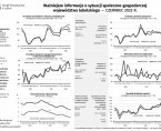 Ważniejsze informacje o sytuacji społeczno-gospodarczej województwa lubelskiego czerwiec 2022 r. Foto