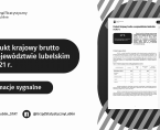 Produkt krajowy brutto w województwie lubelskim w 2021 r. Foto