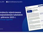 Bezrobocie rejestrowane w województwie lubelskim w 1 półroczu 2025 r. Foto