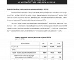 Rynek wewnętrzny w województwie lubelskim w 2013 r. Foto