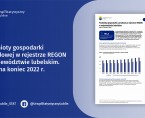 Podmioty gospodarki narodowej w rejestrze REGON w województwie lubelskim. Stan na koniec 2022 r. Foto