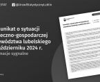 Komunikat o sytuacji społeczno-gospodarczej województwa lubelskiego październik 2024 r. Foto