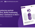Statystyczny portret Lublina, Białej Podlaskiej, Chełma i Zamościa w 2023 r. Foto
