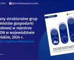 Zmiany strukturalne grup podmiotów gospodarki narodowej w rejestrze REGON w województwie lubelskim, 2024 r. Foto